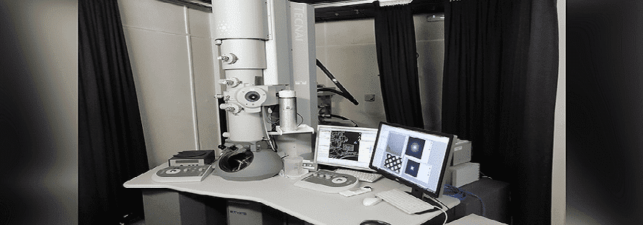 The Egyptian Society of Electron Microscopy Annual Conference http://esem-egypt.org/