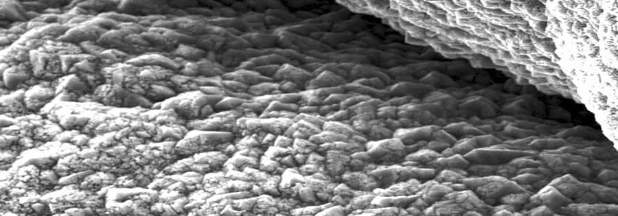 The Egyptian Society of Electron Microscopy Annual Conference http://esem-egypt.org/